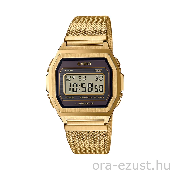 CASIO A1000MGA-5EF